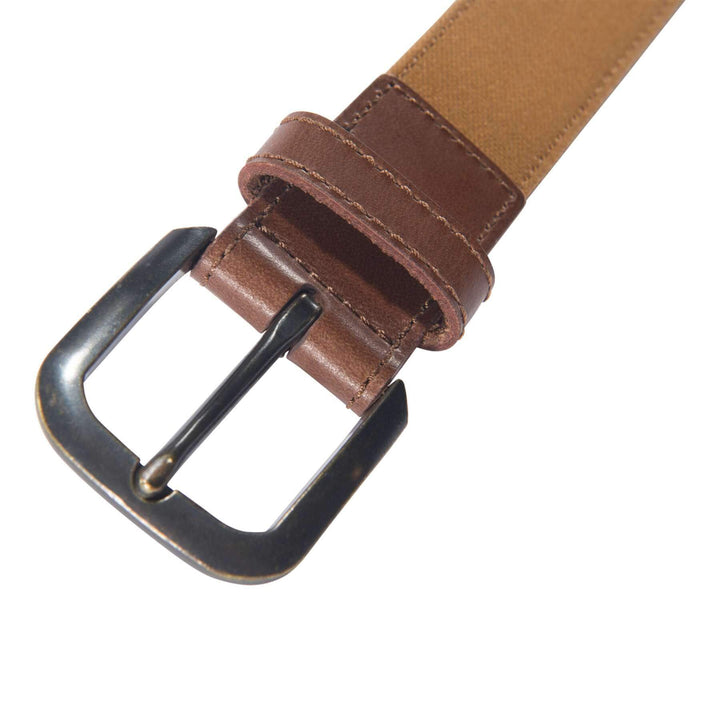 Carhartt Brown Model 1