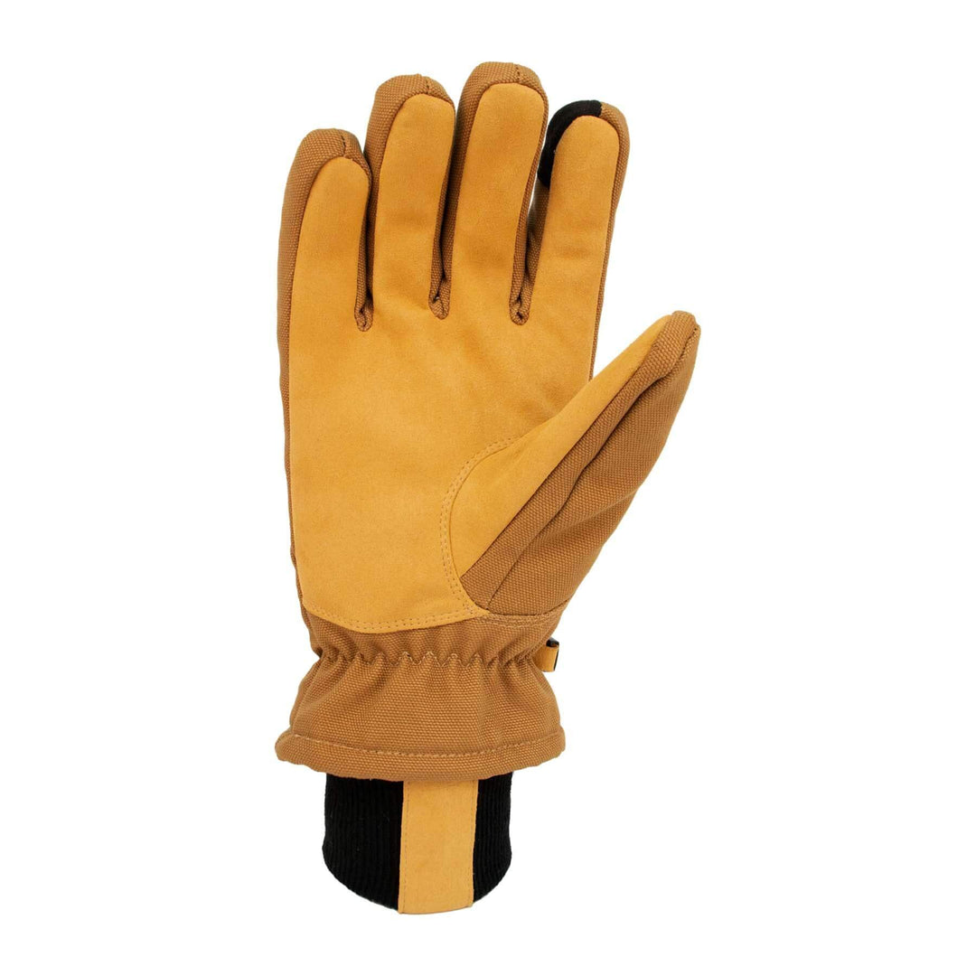 Carhartt Brown Back