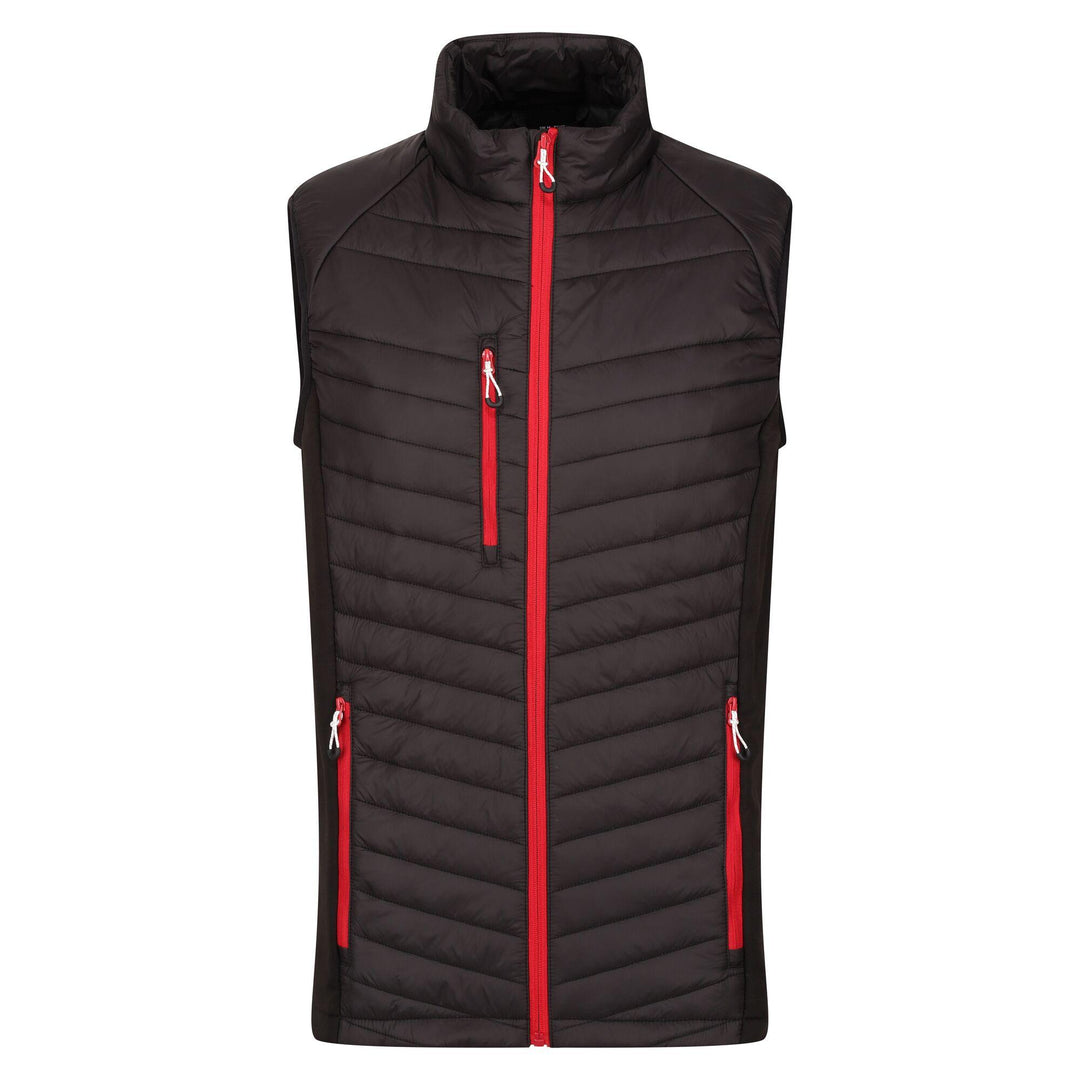 Regatta Professional Navigate Hybrid Lightweight Bodywarmer Black/Classic Red 1#colour_black-classic-red
