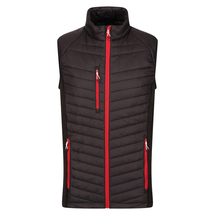 Regatta Professional Navigate Hybrid Lightweight Bodywarmer Black/Classic Red 1#colour_black-classic-red