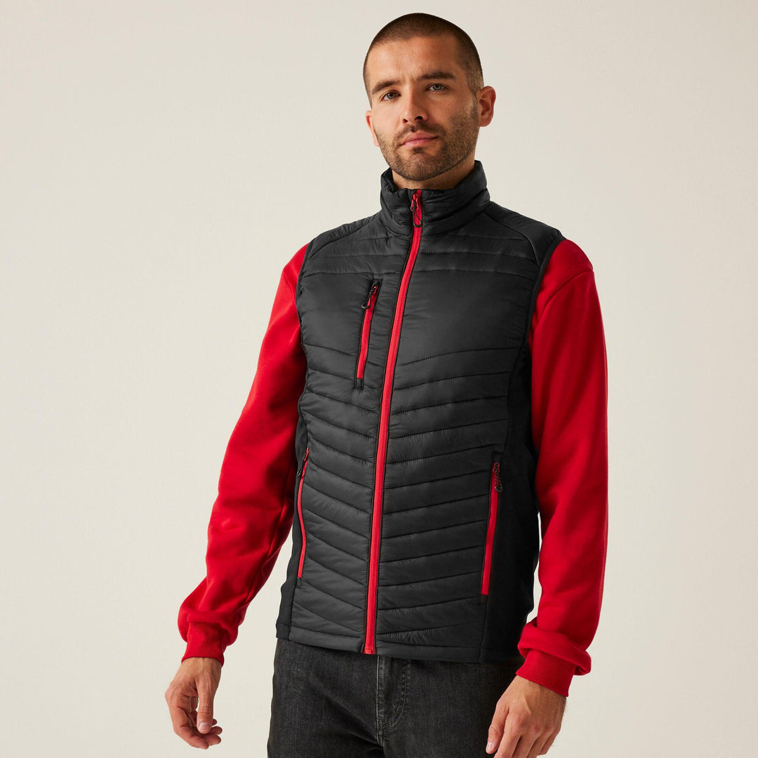 Regatta Professional Navigate Hybrid Lightweight Bodywarmer Black/Classic Red Model 1#colour_black-classic-red