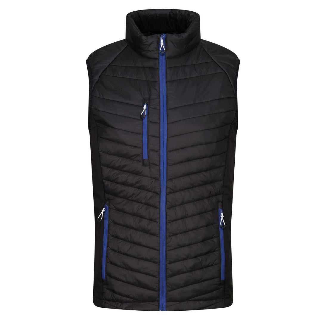 Regatta Professional Navigate Hybrid Lightweight Bodywarmer Black/New Royal 1#colour_black-new-royal