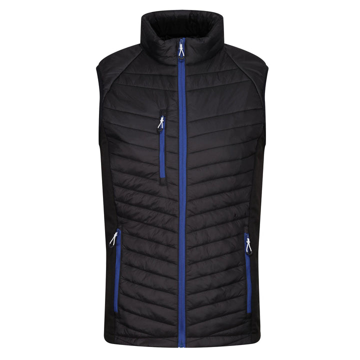 Regatta Professional Navigate Hybrid Lightweight Bodywarmer Black/New Royal 1#colour_black-new-royal