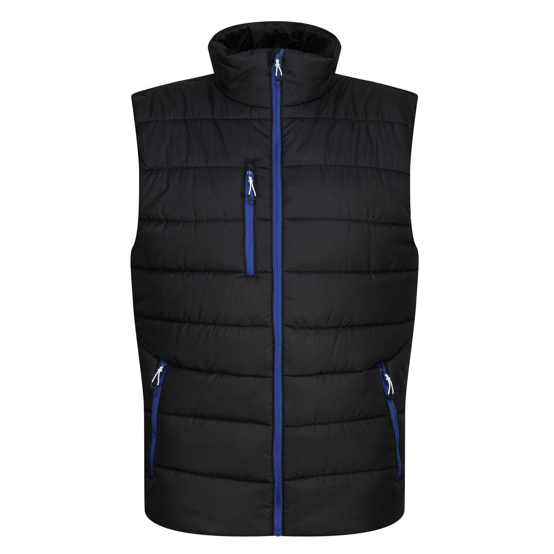 Regatta Professional Navigate Thermal Insulated Bodywarmer Black/New Royal 1#colour_black-new-royal