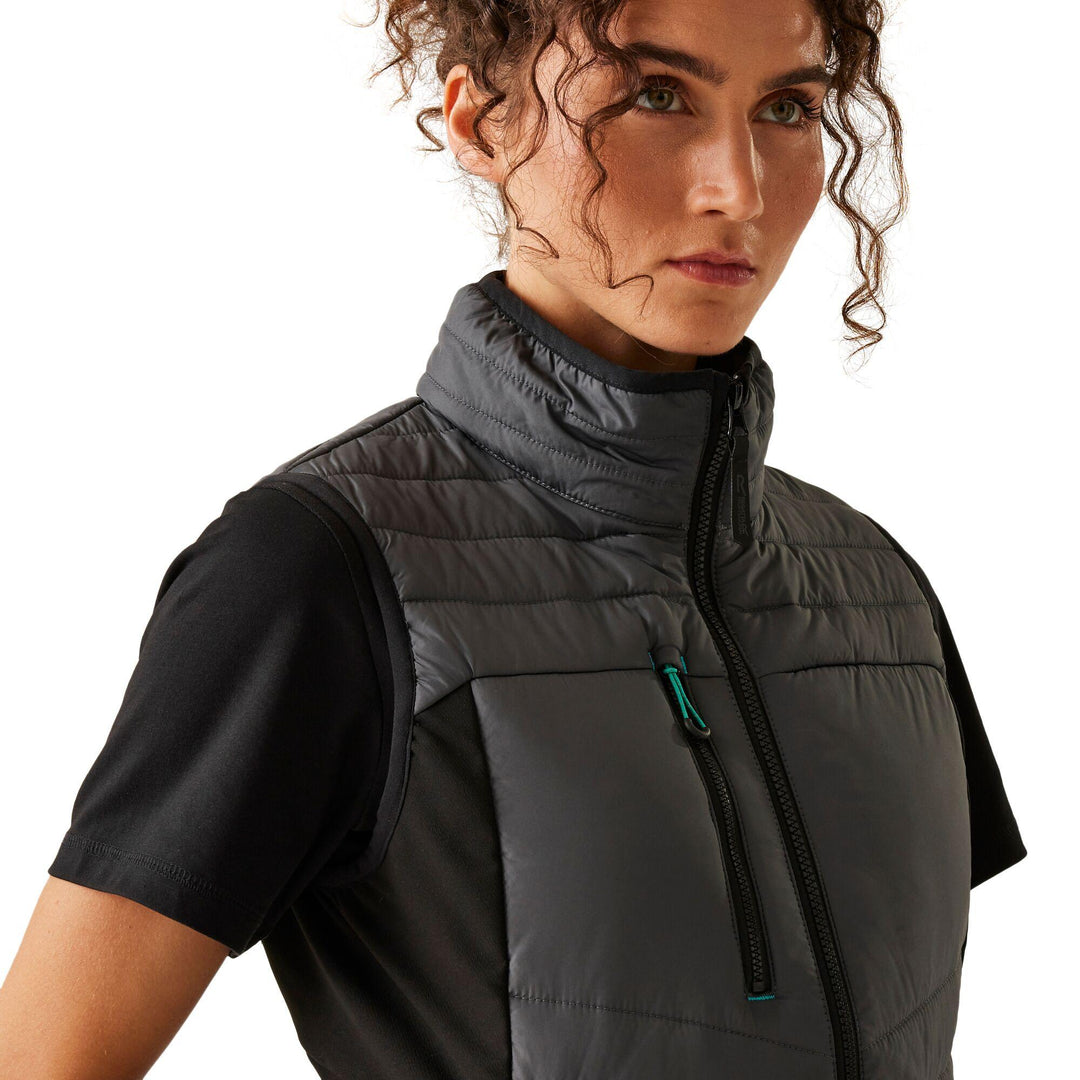 Seal Grey/Black Model 4#colour_seal-grey-black