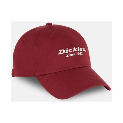 Dickies Everyday Dickies Twill Cotton Cap Fired Brick 1#colour_fired-brick