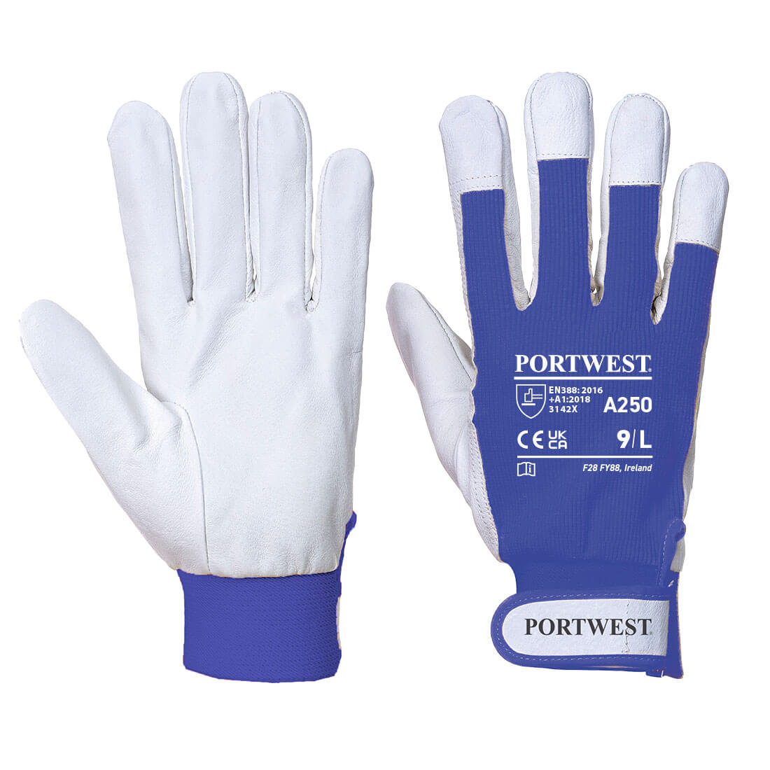 Portwest A250 Tergsus Gloves 1#colour_blue